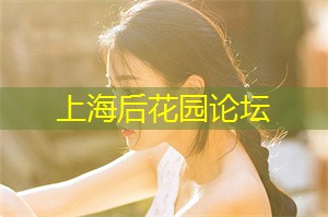 爱上海：夜上海政治体制改革的新动向